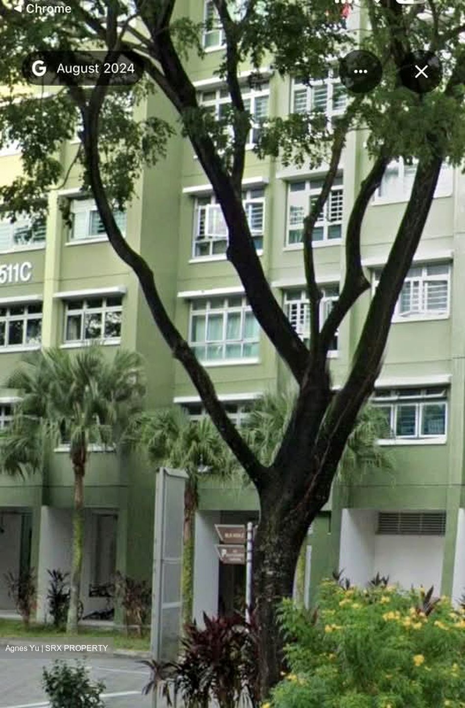 Blk 513B Saraca Breeze @ Yishun (Yishun), HDB 5 Rooms #564183341